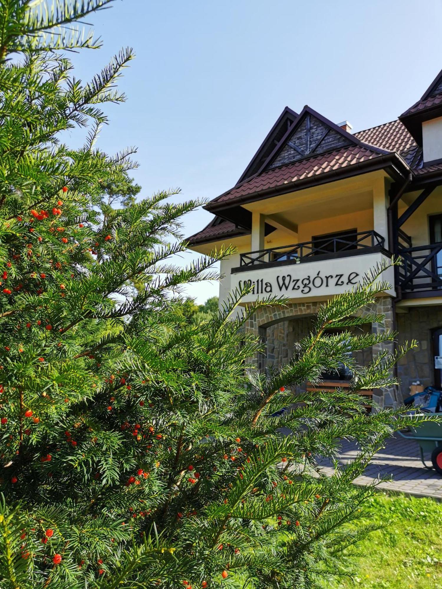 Willa Wzgorze Burg Niedzica Exterior foto